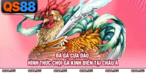 Đá Gà QS88 - Không Gian Giải Trí Kịch Tính Bậc Nhất
