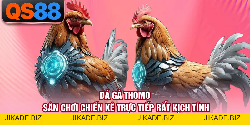 Đá Gà Thomo - Sân Chơi Chiến Kê Trực Tiếp Rất Kịch Tính