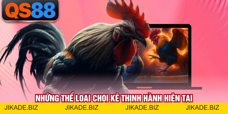 Đá Gà QS88 - Không Gian Giải Trí Kịch Tính Bậc Nhất