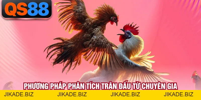 Đá Gà Thomo - Sân Chơi Chiến Kê Trực Tiếp Rất Kịch Tính