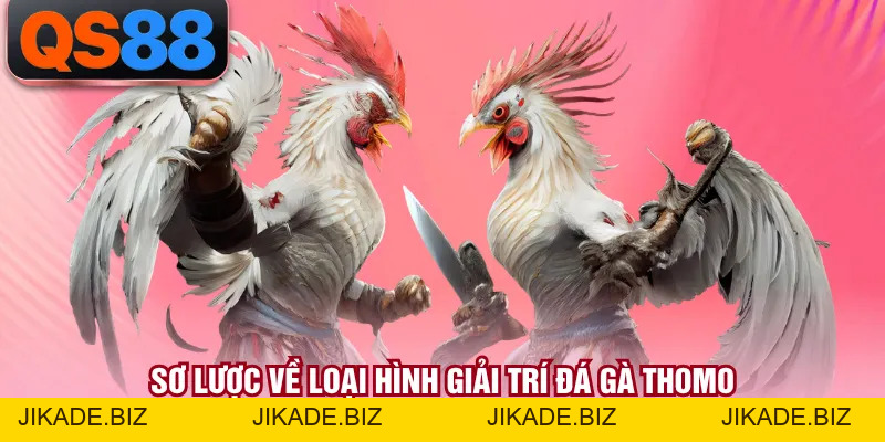 Đá Gà Thomo - Sân Chơi Chiến Kê Trực Tiếp Rất Kịch Tính
