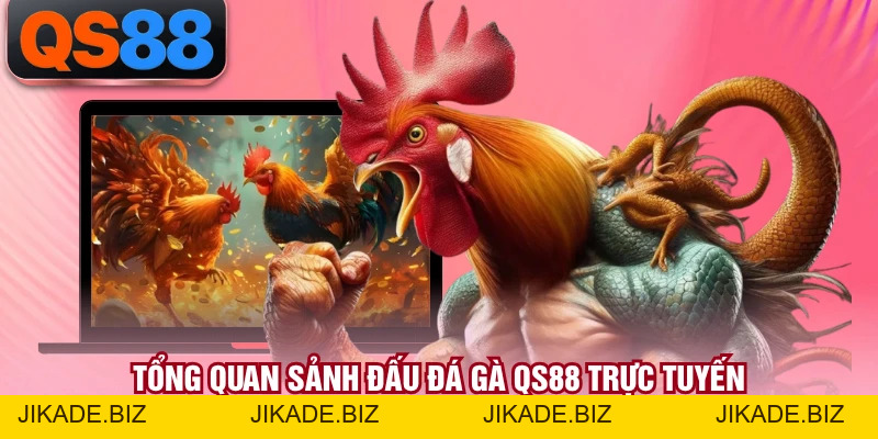 Đá Gà QS88 - Không Gian Giải Trí Kịch Tính Bậc Nhất
